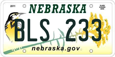 NE license plate BLS233