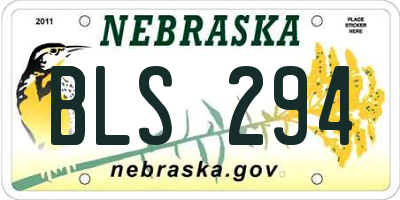 NE license plate BLS294