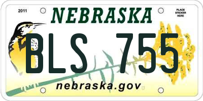 NE license plate BLS755
