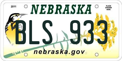 NE license plate BLS933