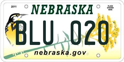 NE license plate BLU020