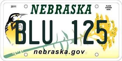 NE license plate BLU125