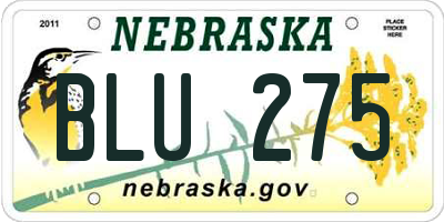 NE license plate BLU275