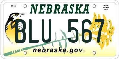 NE license plate BLU567