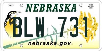 NE license plate BLW731