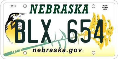 NE license plate BLX654