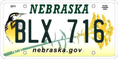 NE license plate BLX716