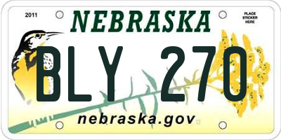 NE license plate BLY270
