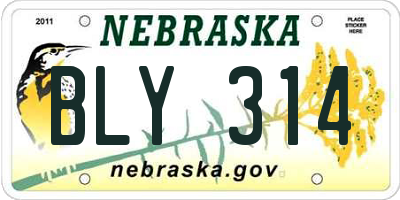NE license plate BLY314