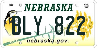 NE license plate BLY822