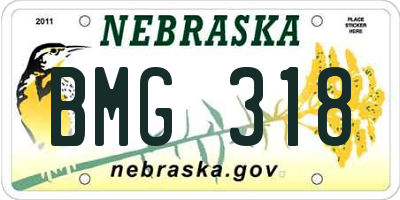 NE license plate BMG318