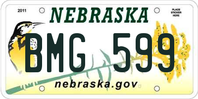 NE license plate BMG599