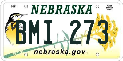 NE license plate BMI273