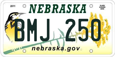 NE license plate BMJ250
