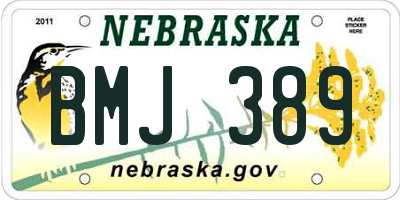 NE license plate BMJ389