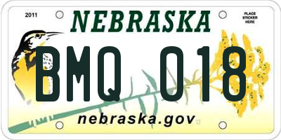 NE license plate BMQ018