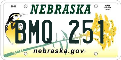 NE license plate BMQ251
