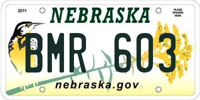 NE license plate BMR603
