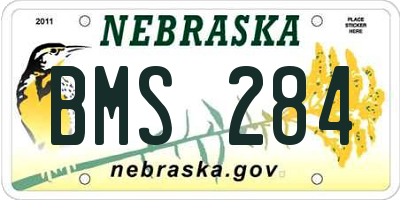 NE license plate BMS284