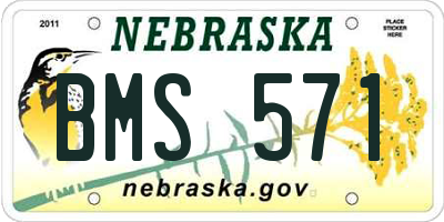 NE license plate BMS571