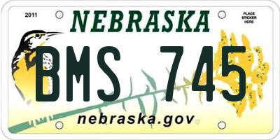 NE license plate BMS745