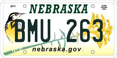 NE license plate BMU263