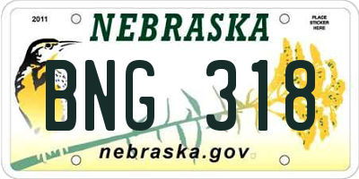 NE license plate BNG318