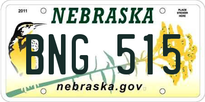NE license plate BNG515