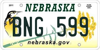 NE license plate BNG599