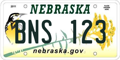 NE license plate BNS123
