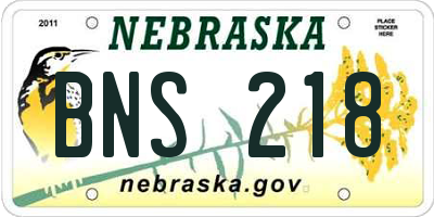 NE license plate BNS218