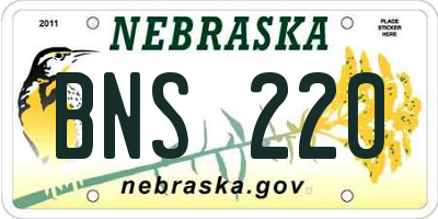 NE license plate BNS220