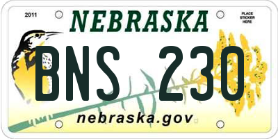 NE license plate BNS230