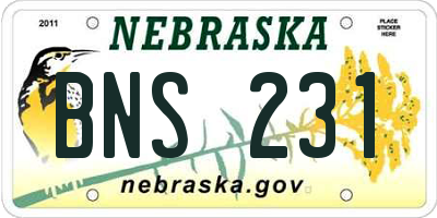 NE license plate BNS231