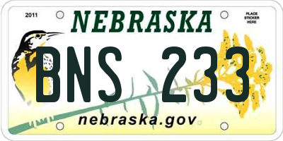 NE license plate BNS233