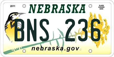 NE license plate BNS236