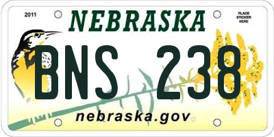 NE license plate BNS238