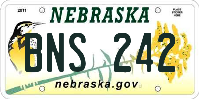 NE license plate BNS242
