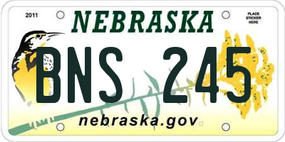 NE license plate BNS245