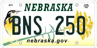 NE license plate BNS250