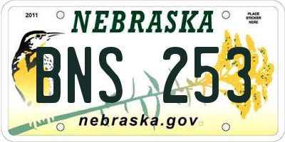 NE license plate BNS253