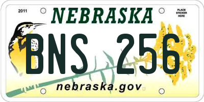 NE license plate BNS256