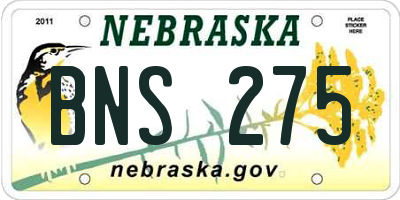 NE license plate BNS275