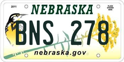 NE license plate BNS278