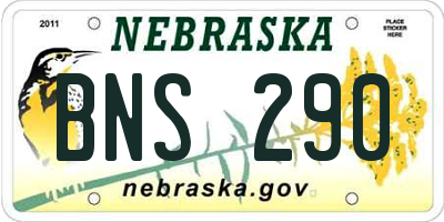NE license plate BNS290