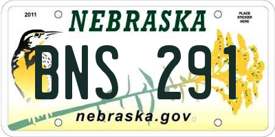 NE license plate BNS291