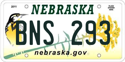 NE license plate BNS293