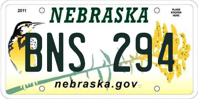 NE license plate BNS294