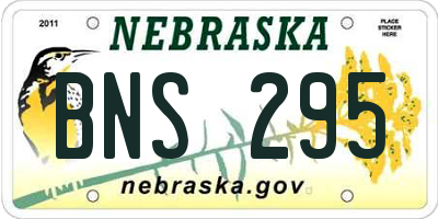 NE license plate BNS295