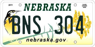 NE license plate BNS304
